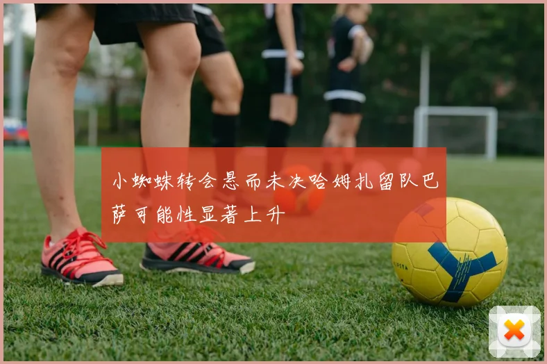 小蜘蛛转会悬而未决哈姆扎留队巴萨可能性显著上升